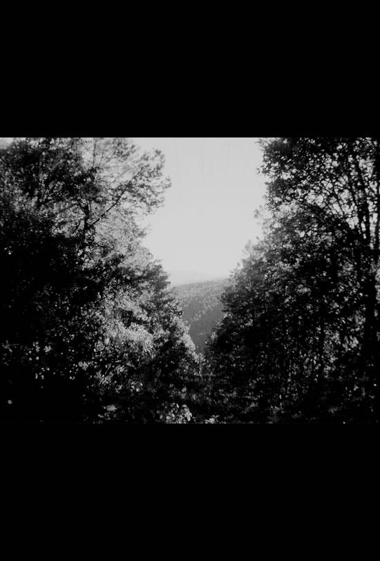 Santa Teresa & Other Stories