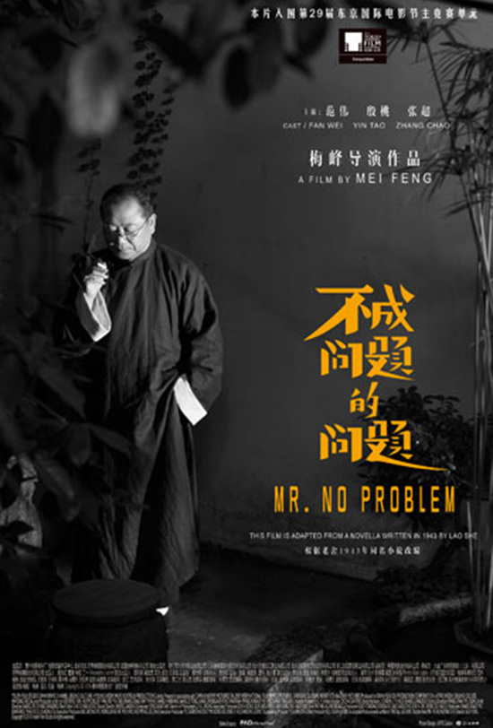 Mr No Problem