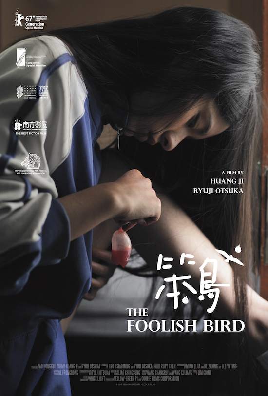 The Foolish Bird